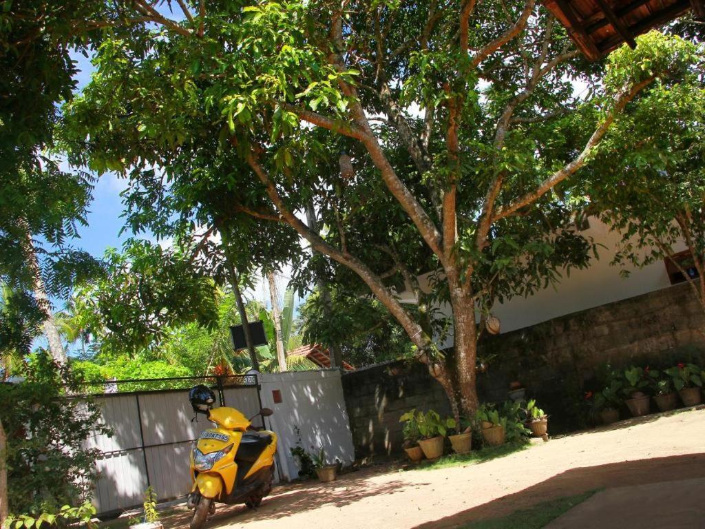 Celine'S Home Mirissa Buitenkant foto